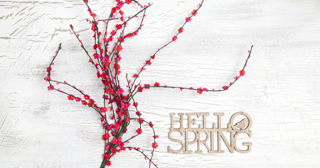 hello spring background with flowersの写真素材