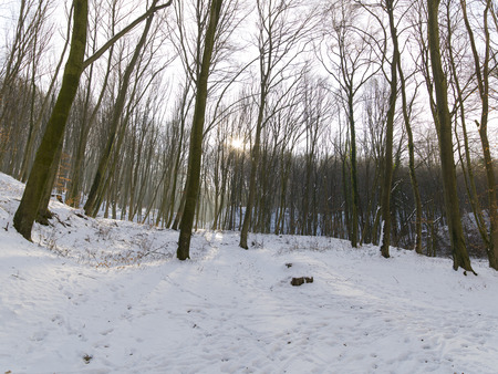 snow and ice and wintry textures and different wintry backgroundsの写真素材