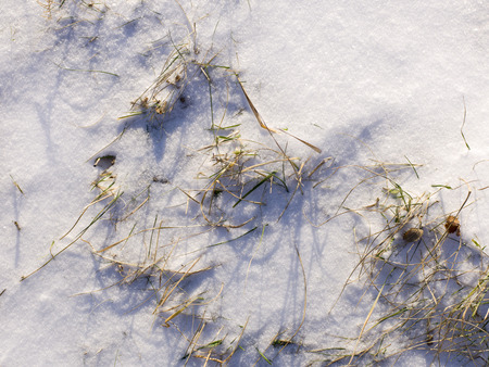 snow and ice and wintry textures and different wintry backgroundsの写真素材