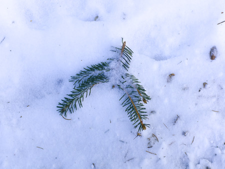 snow and ice and wintry textures and different wintry backgroundsの写真素材