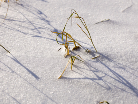 snow and ice and wintry textures and different wintry backgroundsの写真素材