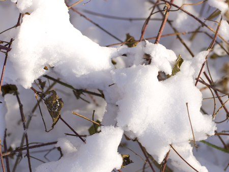 snow and ice and wintry textures and different wintry backgroundsの写真素材