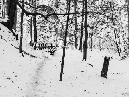 snow and ice and wintry textures and different wintry backgroundsの写真素材