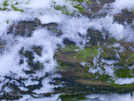 snow and ice and wintry textures and different wintry backgroundsの写真素材