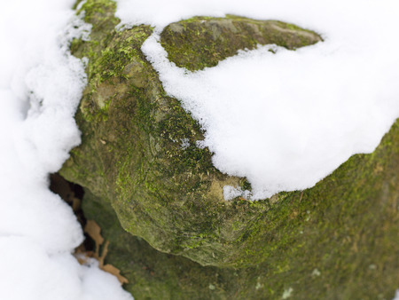 snow and ice and wintry textures and different wintry backgroundsの写真素材