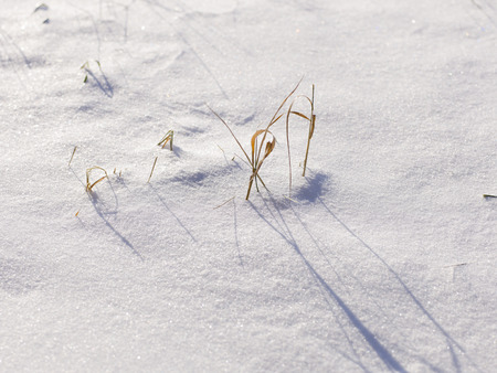 snow and ice and wintry textures and different wintry backgroundsの写真素材