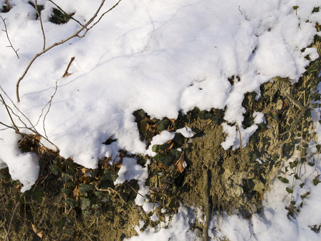 snow and ice and wintry textures and different wintry backgroundsの写真素材