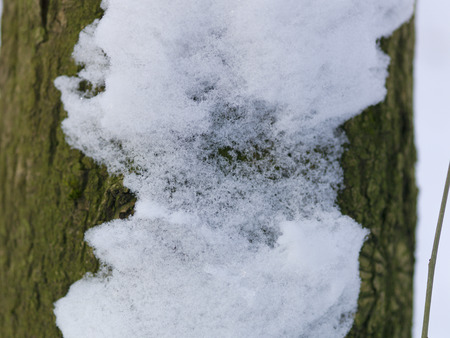 snow and ice and wintry textures and different wintry backgroundsの写真素材