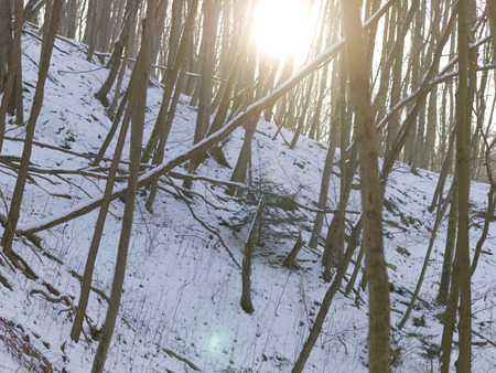 snow and ice and wintry textures and different wintry backgroundsの写真素材