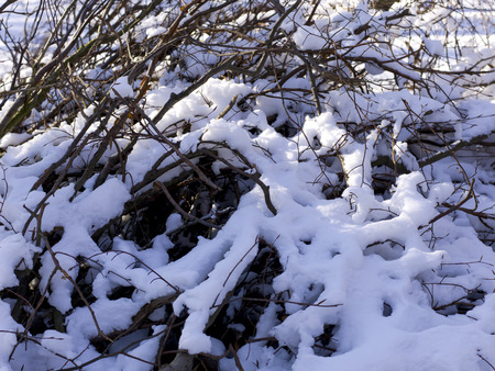 snow and ice and wintry textures and different wintry backgroundsの写真素材