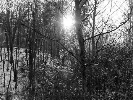snow and ice and wintry textures and different wintry backgroundsの写真素材