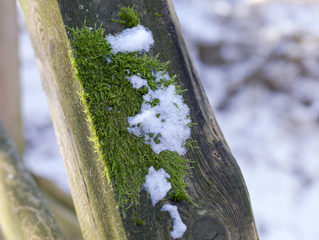 snow and ice and wintry textures and different wintry backgroundsの写真素材