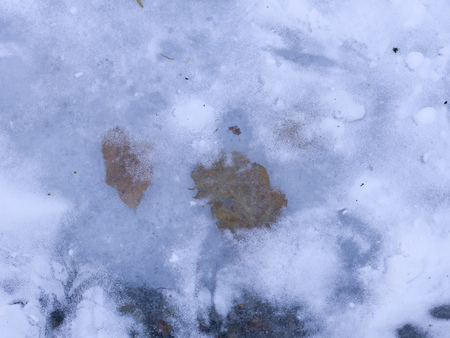 snow and ice and wintry textures and different wintry backgroundsの写真素材
