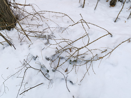 schnee und eis und winterliche texturen und hintergrÃ¼ndeの写真素材