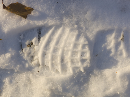 snow and ice and wintry textures and different wintry backgroundsの写真素材