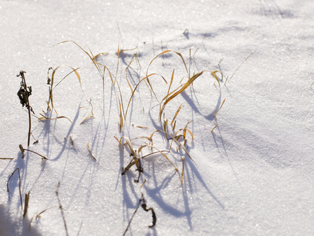 snow and ice and wintry textures and different wintry backgroundsの写真素材