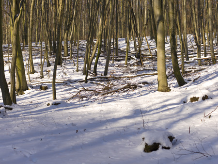 snow and ice and wintry textures and different wintry backgroundsの写真素材