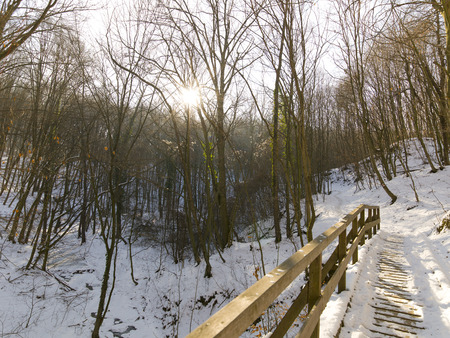 snow and ice and wintry textures and different wintry backgroundsの写真素材