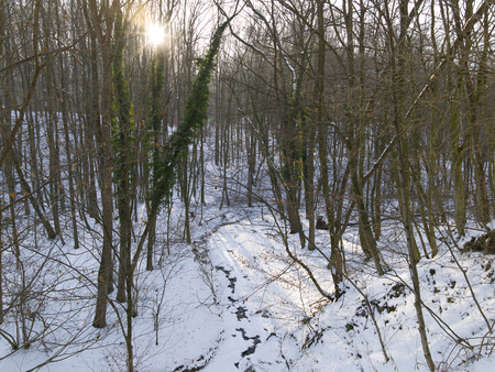 snow and ice and wintry textures and different wintry backgroundsの写真素材