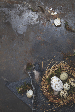esaster decoration with nest and egg on dark backgroundの写真素材