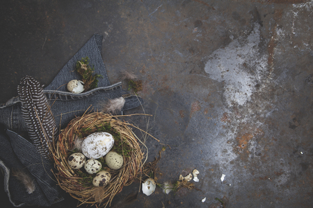 esaster decoration with nest and egg on dark backgroundの写真素材