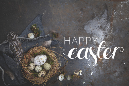 esaster decoration with nest and egg on dark backgroundの写真素材