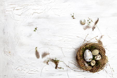 beautiful Easter decoration with nest and egg on white wood backgroundの写真素材