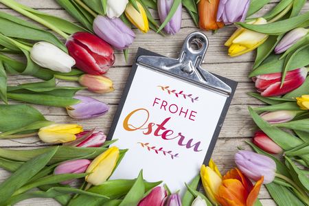 Frische bunte Tulpen vor einem Holzhintergrundの写真素材