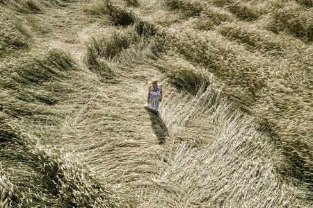 Sexy woman with white, blue dress goes and dances by in rye fieldの写真素材