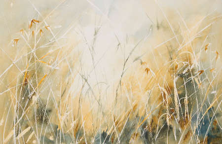 Original watercolour, Long grass in a meadow.の写真素材