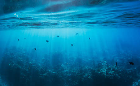 Underwater Underwater