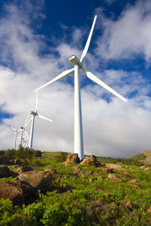 Windmills with Blue Sky