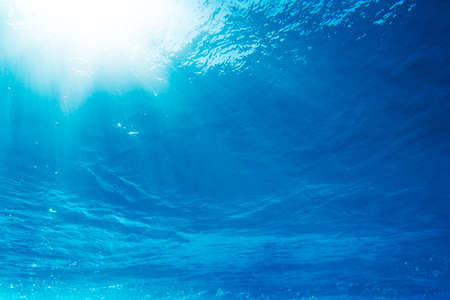 Under Waterの写真素材