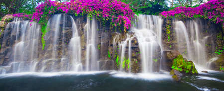 Beautiful Lush Waterfallの写真素材