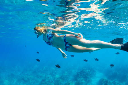Beautiful Woman Snorkeling in Tropical Oceanの写真素材