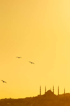 Majestic Mosque at Sunset in the Middle Eastの写真素材