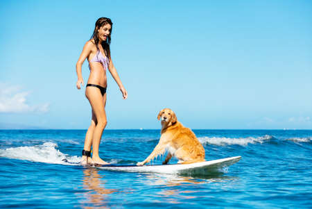 Attractive Young Woman Surfing with her Dog. Riding Wave Together in Ocean. Surfing Dog.