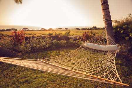 Hammock with Palm Trees at Sunsetの写真素材