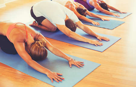 Yoga Class, Group of People Relaxing and Doing Yoga. Childs Pose. Wellness and Healthy Lifestyle.