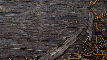Wood background. Old wooden wall. Old Wood. Old wood background. Weathered wood texture closeup photo. Old tree. Curves and lines on natural rustic timber. Rough timber texture. Old weathered treeの写真素材
