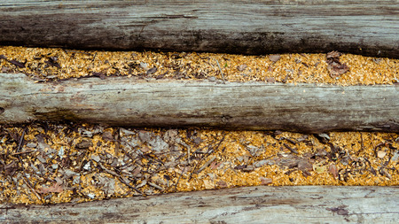 Wood background. Old wooden wall. Old Wood. Old wood background. Weathered wood texture closeup photo. Old tree. Curves and lines on natural rustic timber. Rough timber texture. Old weathered treeの写真素材
