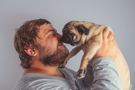 A man with a beard holding a pug puppy Concept of friendship between man and dog.の写真素材