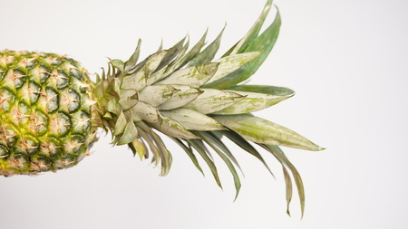 Pineapple isolated on white background. Space for textの写真素材