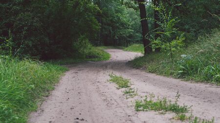 Narrow road through green grove. Narrow winding path going through green bushes and trees against cloudyの写真素材