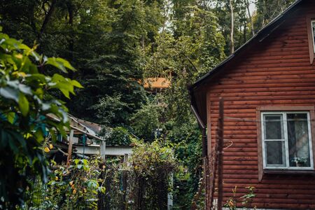 Village house in the forest in cloudy weather.の写真素材