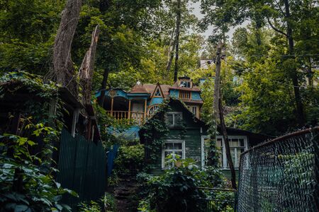 Village house in the forest in cloudy weather.