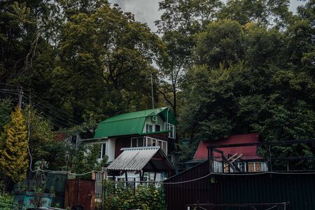 Village house in the forest in cloudy weather.の写真素材