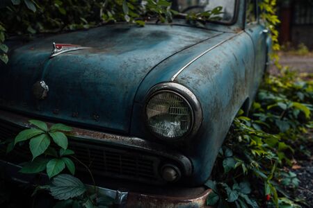 Voronezh, Russia July 22, 2019: The old abandoned car was overgrown with vegetation