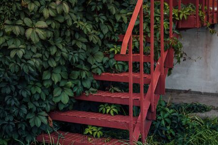 Red metal staircase among lush foliage.