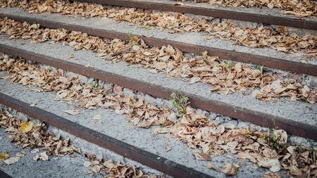 Stairs with autumn leaves. Stairs in the fall with leaves.の写真素材